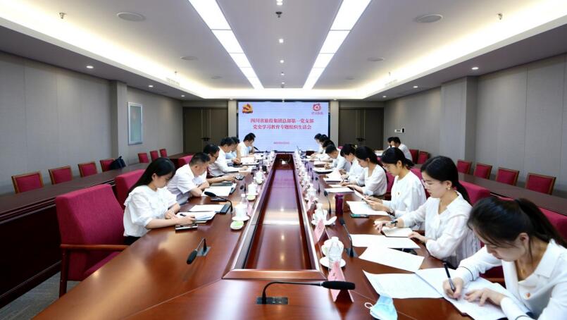 尊龙凯时集团党委书记、董事长任丁参加总部第一党支部党史学习教育专题组织生活会