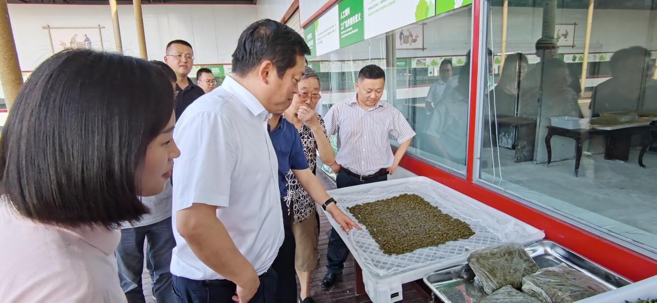 省尊龙凯时集团党委副书记、董事陈日赴嘉陵区调研茶桑产业发展情况